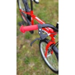 Bērnu velosipēds 20" Tec TopVelo Plus sarkans
