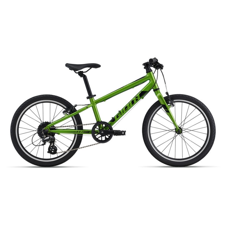 Bērnu velosipēds Giant ARX 20 Metallic Green (C)