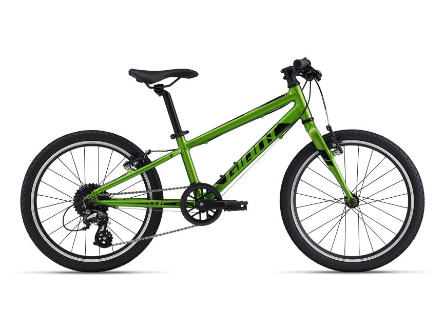 Bērnu velosipēds Giant ARX 20 Metallic Green (C) Bērnu velosipēds Giant ARX 20 Metallic Green (C)