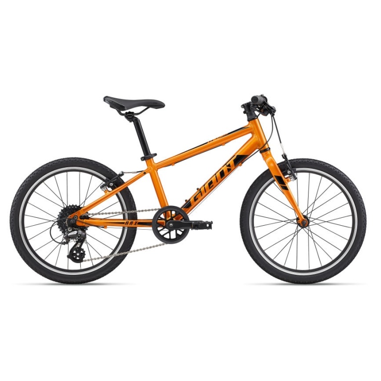 Bērnu velosipēds Giant ARX 20 Metallic Orange