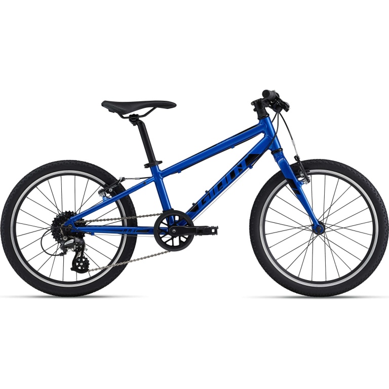 Bērnu velosipēds Giant ARX 20 Sapphire