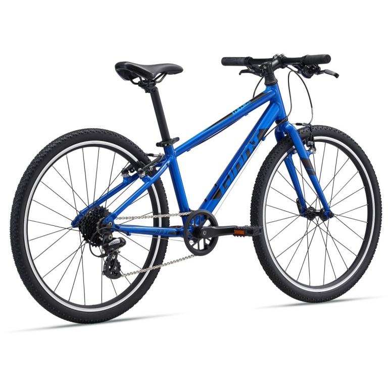 Bērnu velosipēds Giant ARX 24 Sapphire (2023.g)