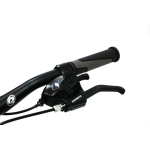 Kalnu velosipēds Corelli VIA 1.0 MTB 26" - 16'' melns/zaļš