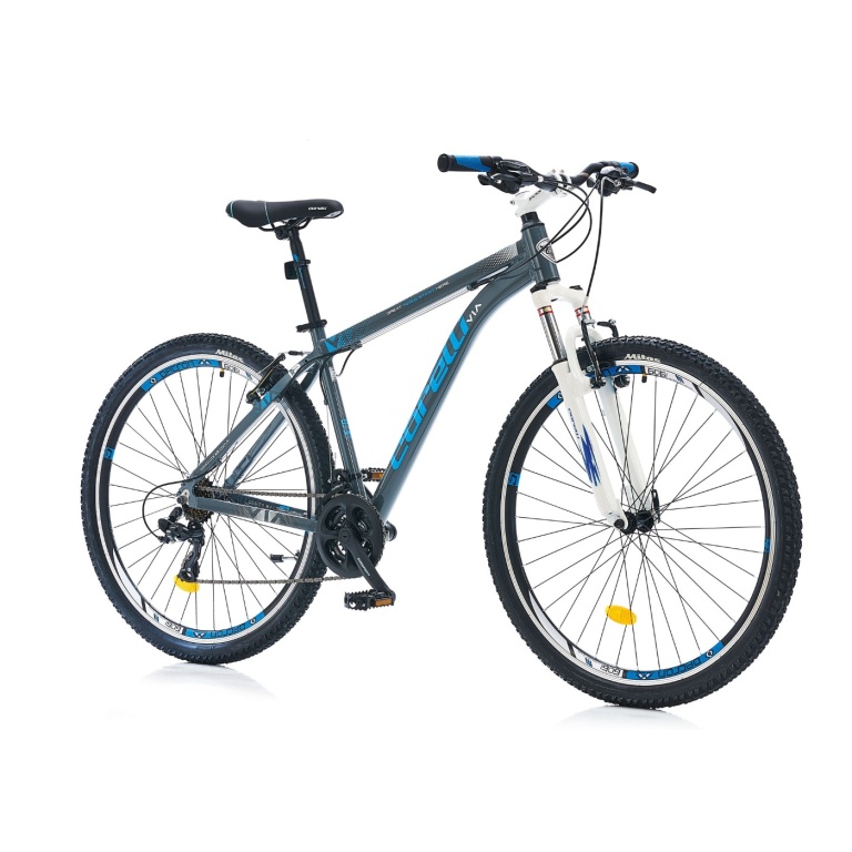 Kalnu velosipēds Corelli VIA 1.2 MTB 29" - 18'' pelēks/zils