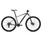 Kalnu velosipēds Giant Talon 29 4 Metal (WP) (M)