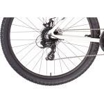 5" Disc balts