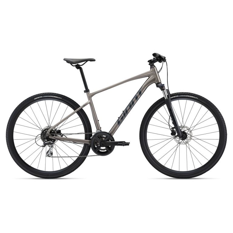 Kross velosipēds Giant Roam 3 Disc pelēks (2023.g)