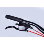 MTB Velosipēds 29" Discovery MD TopVelo Bastion Shimano