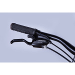 MTB Velosipēds AL 29" Formula TopVelo MOTION PLUS DD FR rāmis-19" zaļi-pelēks