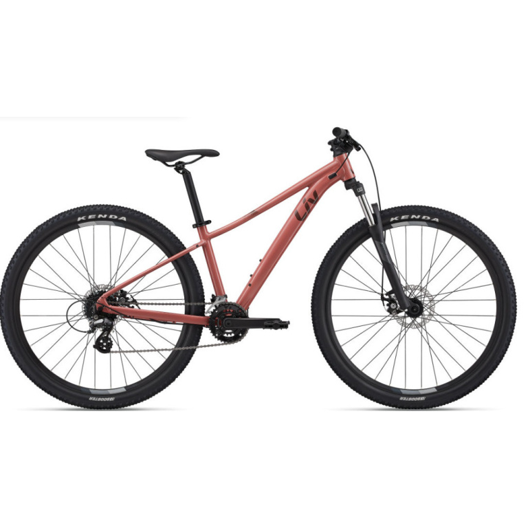 Velosipēds Liv rove 4 (S)
