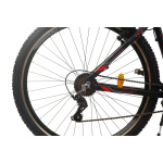 22" rāmis