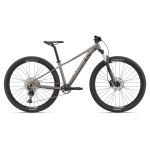 Kalnu velosipēds Liv Tempt 29 0 Metal (L)