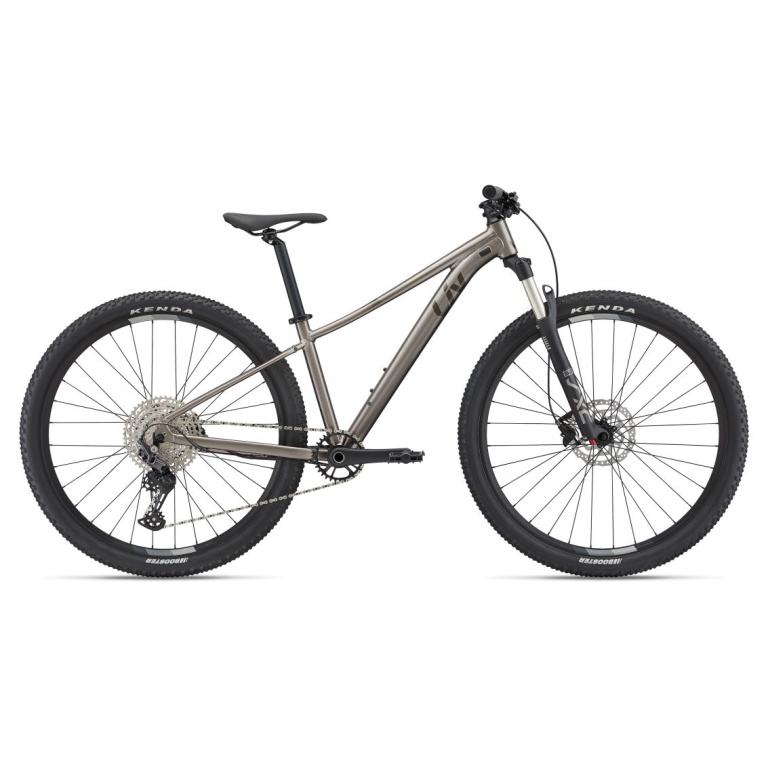 Kalnu velosipēds Liv Tempt 29 0 Metal (L)