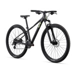 Kalnu velosipēds Liv Tempt 29 4 Black Chrome (C) (L)