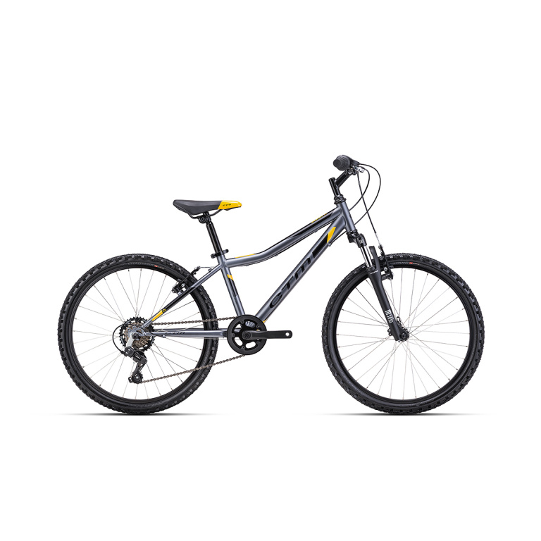 Velosipēds CTM Berry 2.0 24“