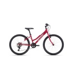 Velosipēds CTM Mony 24“
