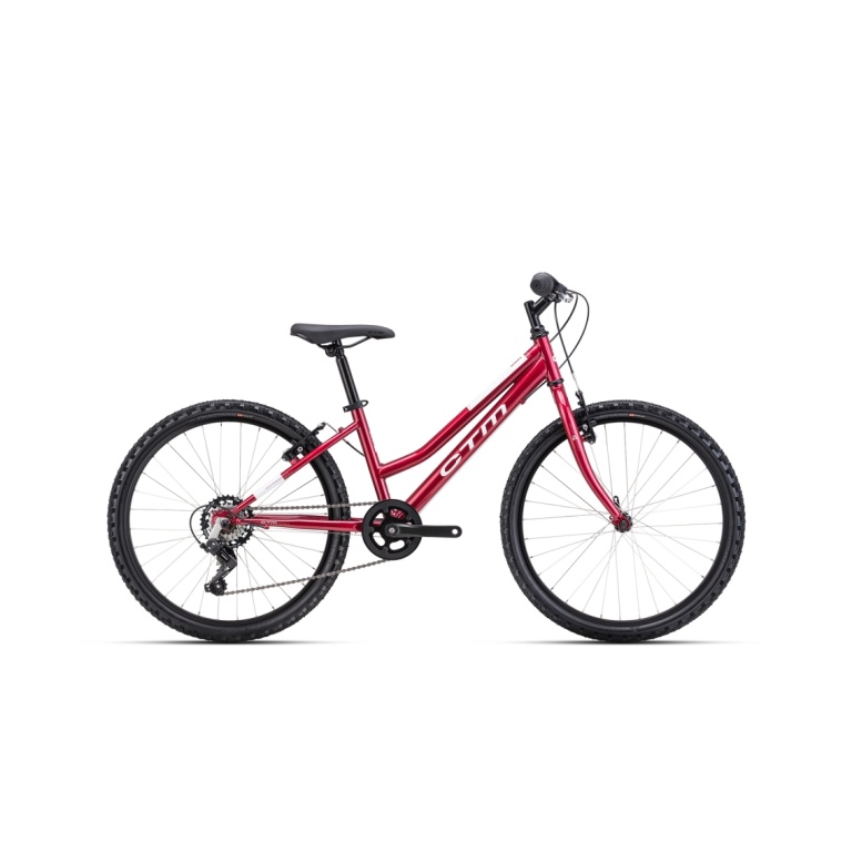 Velosipēds CTM Mony 24“