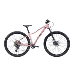 Velosipēds CTM Charisma 5.0 29"
