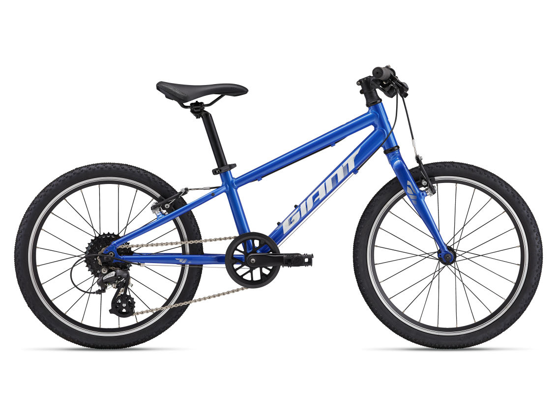 Bērnu velosipēds Giant ARX 20 Cobalt (C)