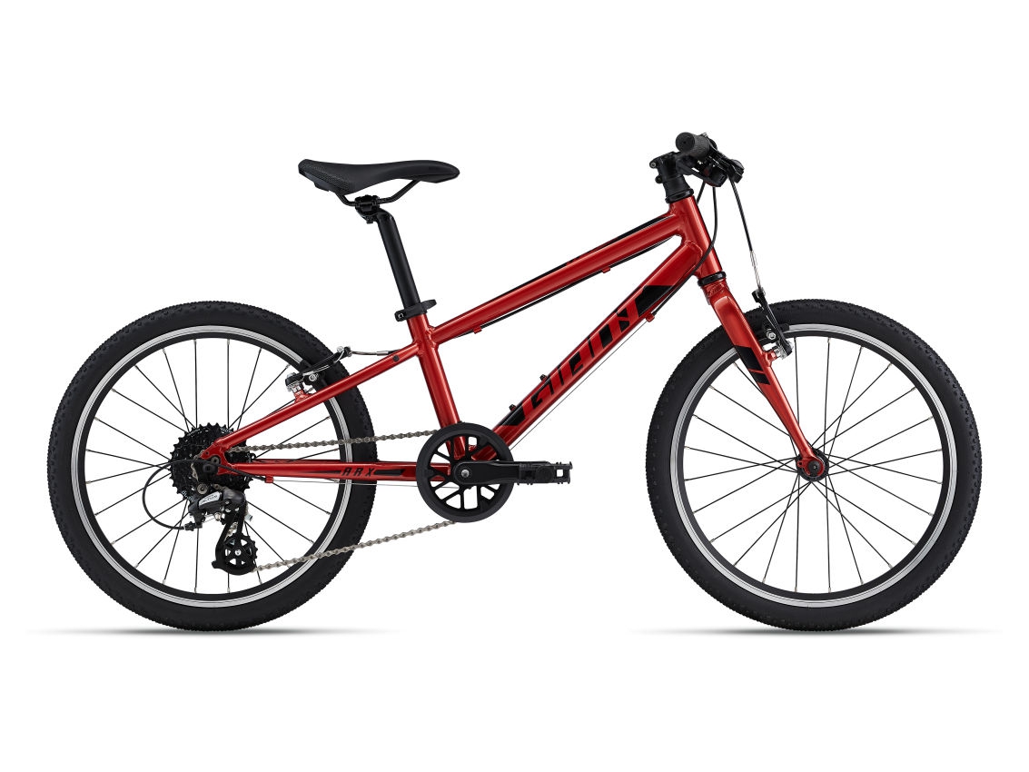 Bērnu velosipēds Giant ARX 20 Grenadine (C)