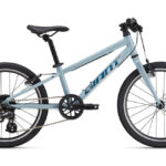 Bērnu velosipēds Giant ARX 20 Soap Suds