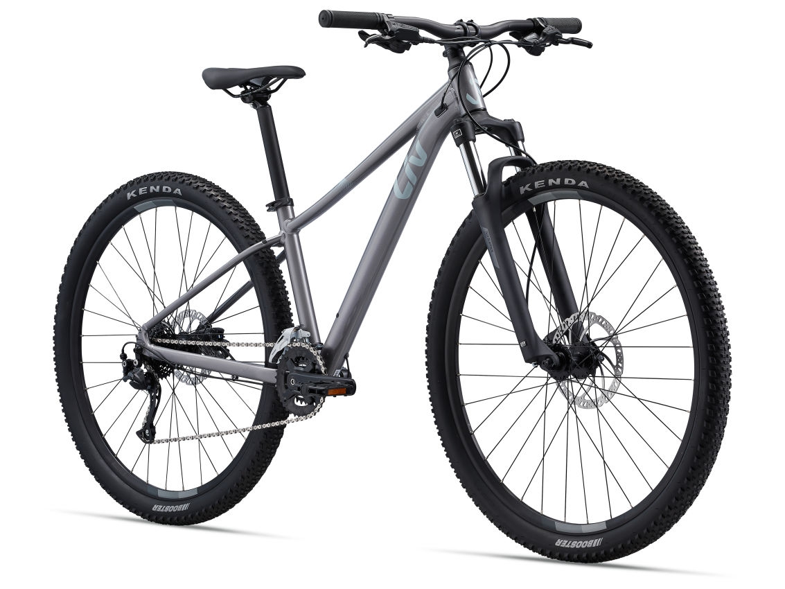 Kalnu velosipēds Liv Tempt 29 2 Liquid Metal (M)